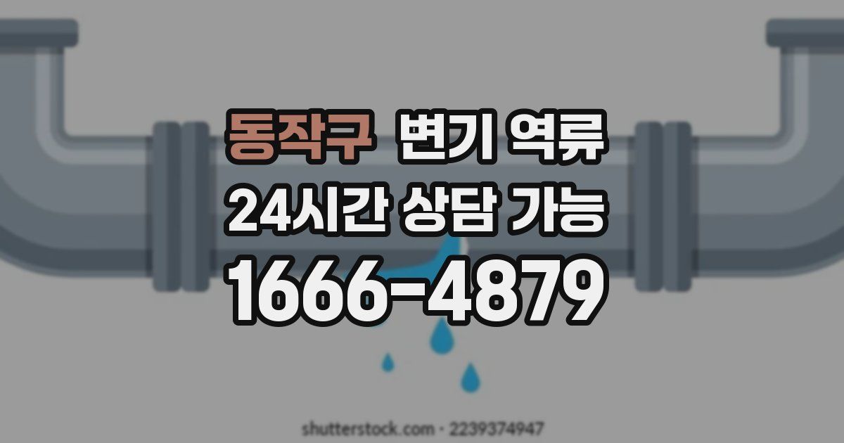 동작구 변기 역류