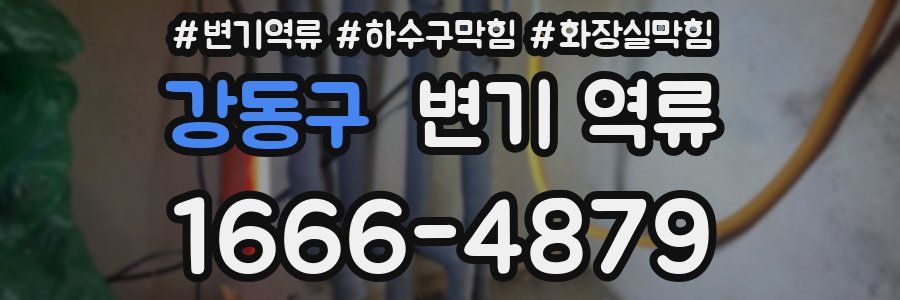 강동구 변기 역류