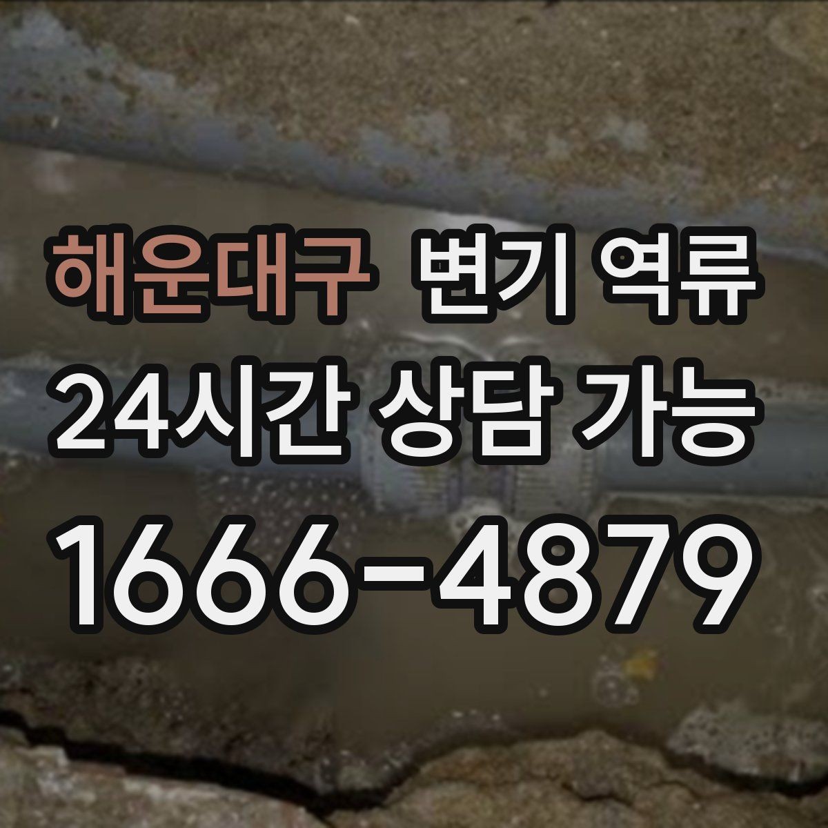 해운대구 변기 역류 예방을 위한 욕실 습관 5가지