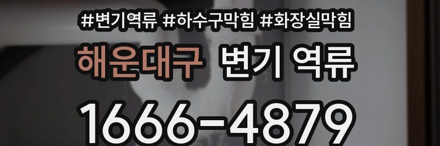 해운대구 변기 역류