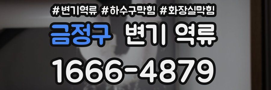 금정구 변기 역류