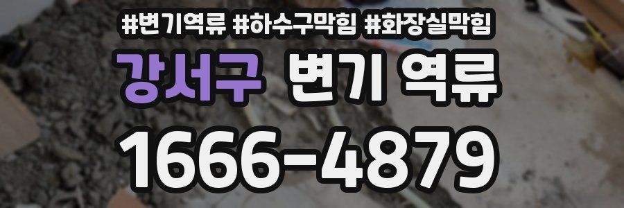 강서구 변기 역류