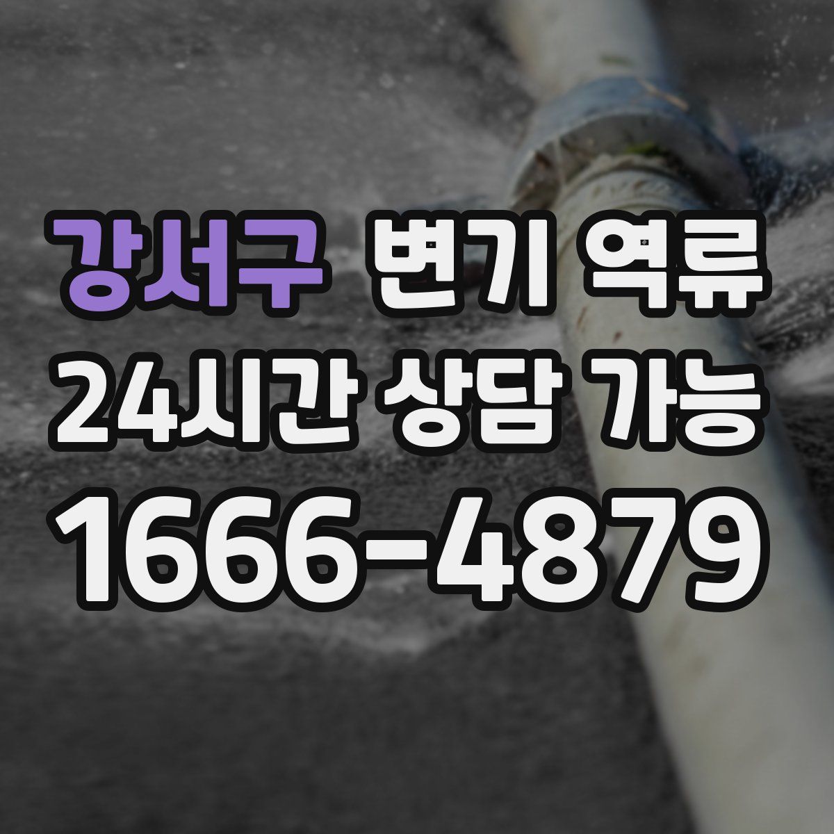 강서구 변기 역류