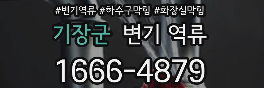 기장군 변기 역류