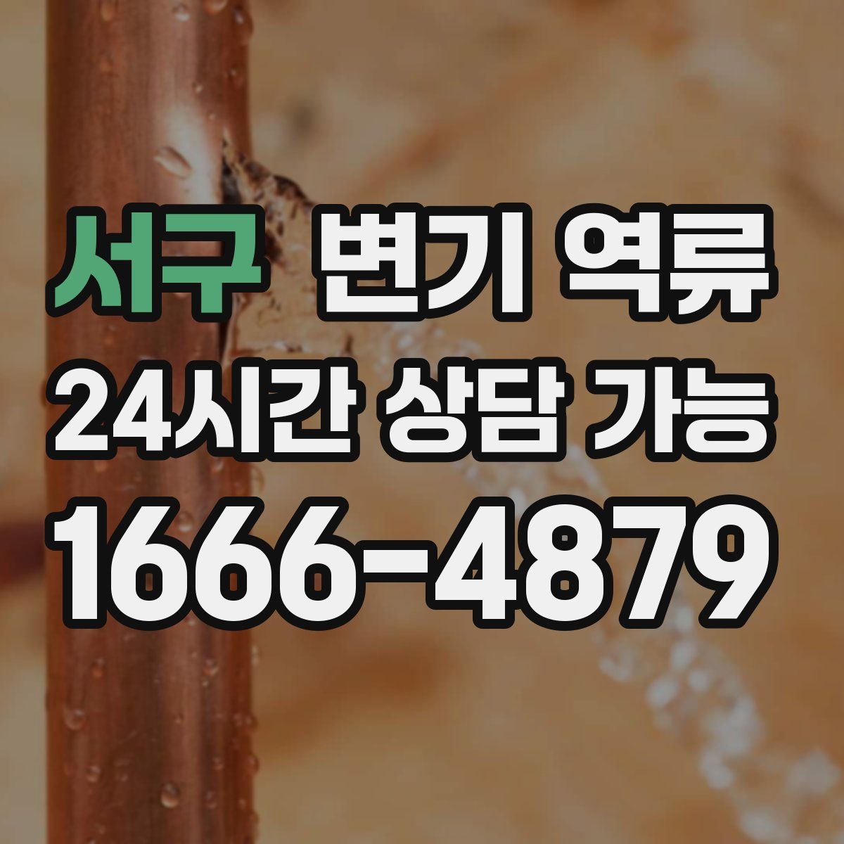 서구 변기 역류