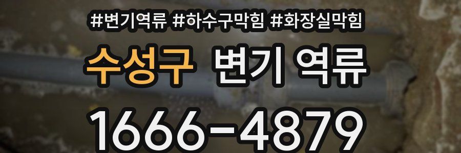 수성구 변기 역류