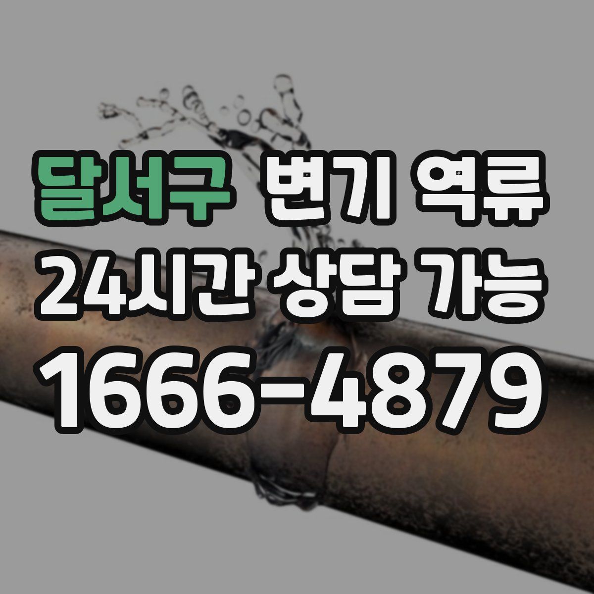 달서구 변기 역류