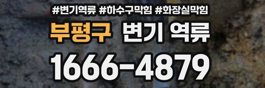 부평구 변기 역류