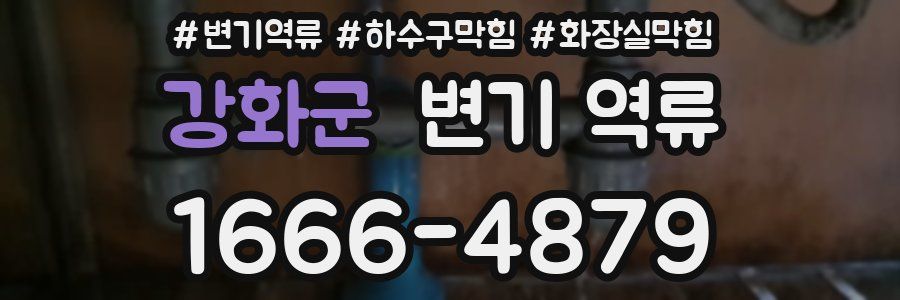 강화군 변기 역류