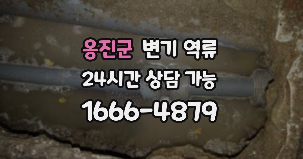 옹진군 변기 역류