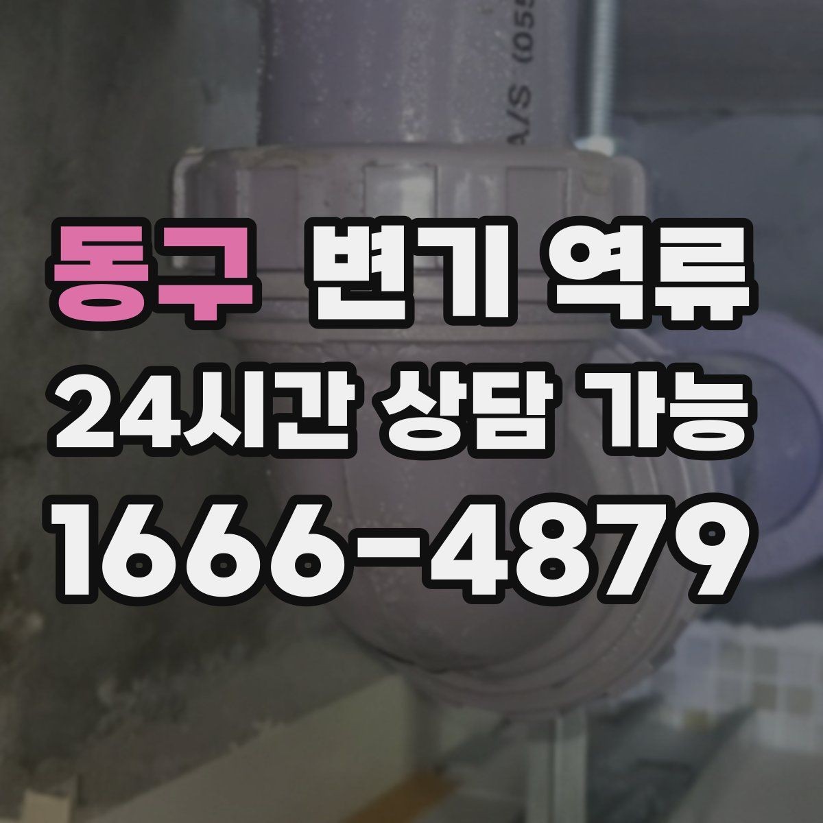 동구 변기 역류 아이·반려동물 접근을 막아야 하는 이유