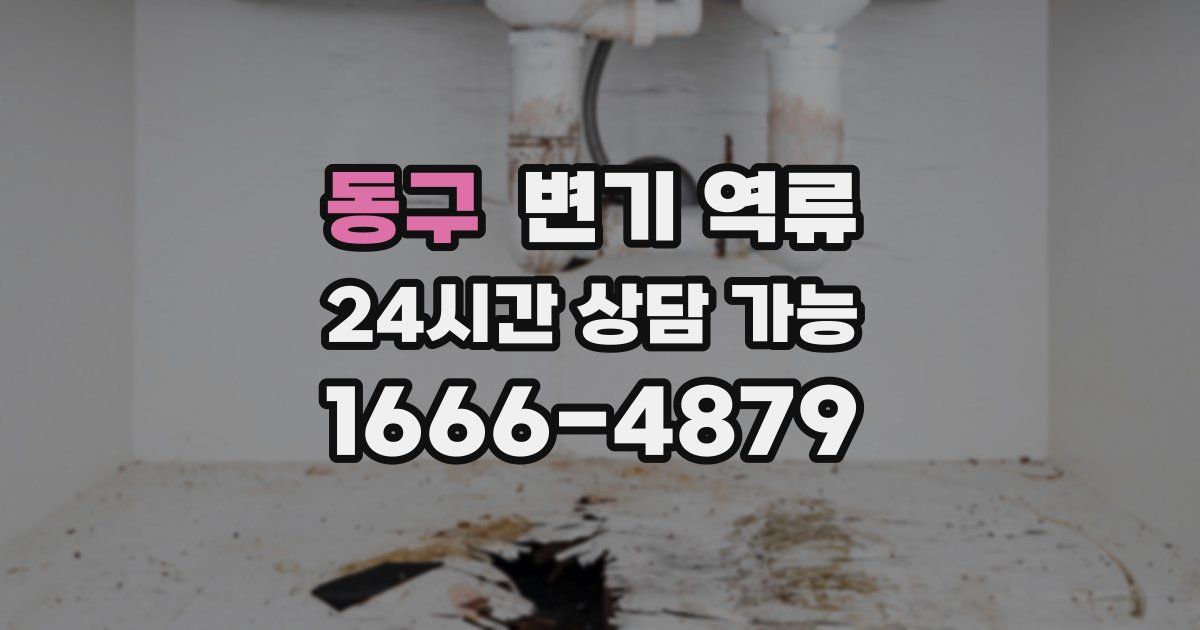 동구 변기 역류