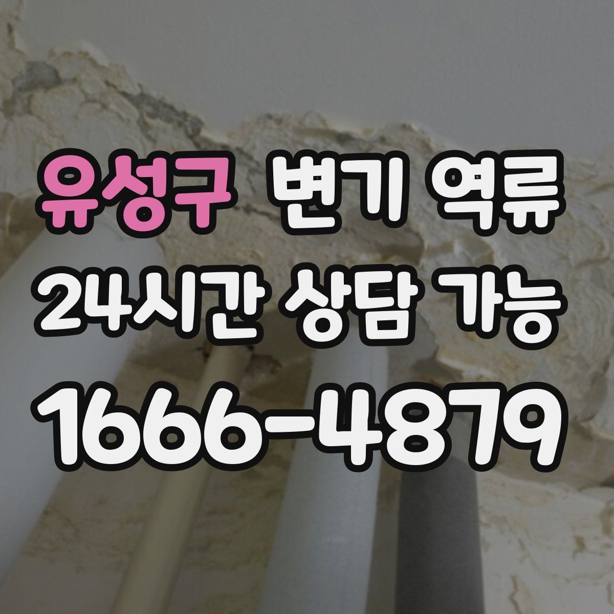 유성구 변기 역류