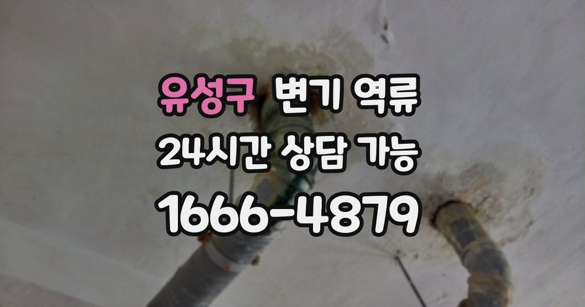 유성구 변기 역류