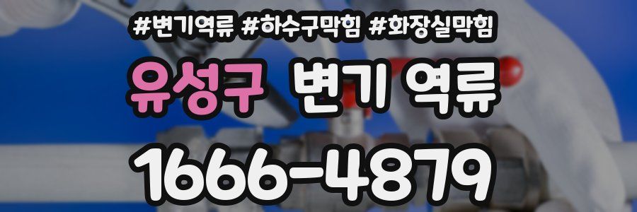 유성구 변기 역류