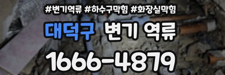 대덕구 변기 역류