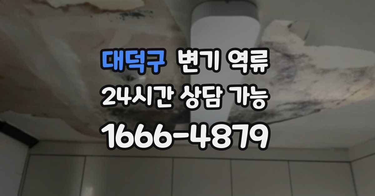 대덕구 변기 역류