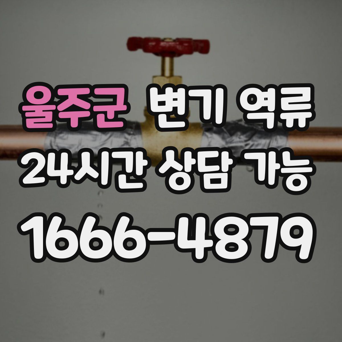 울주군 변기 역류
