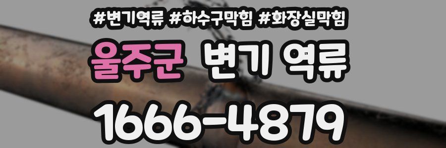 울주군 변기 역류