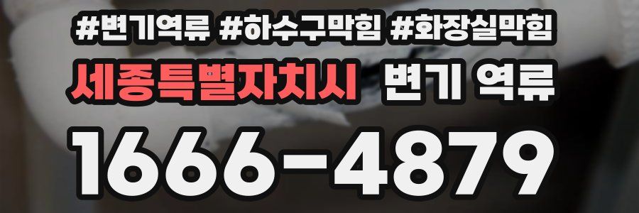 세종특별자치시 변기 역류