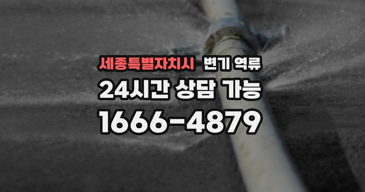 세종특별자치시 변기 역류