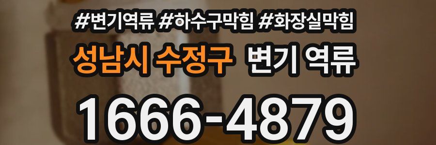 성남시 수정구 변기 역류