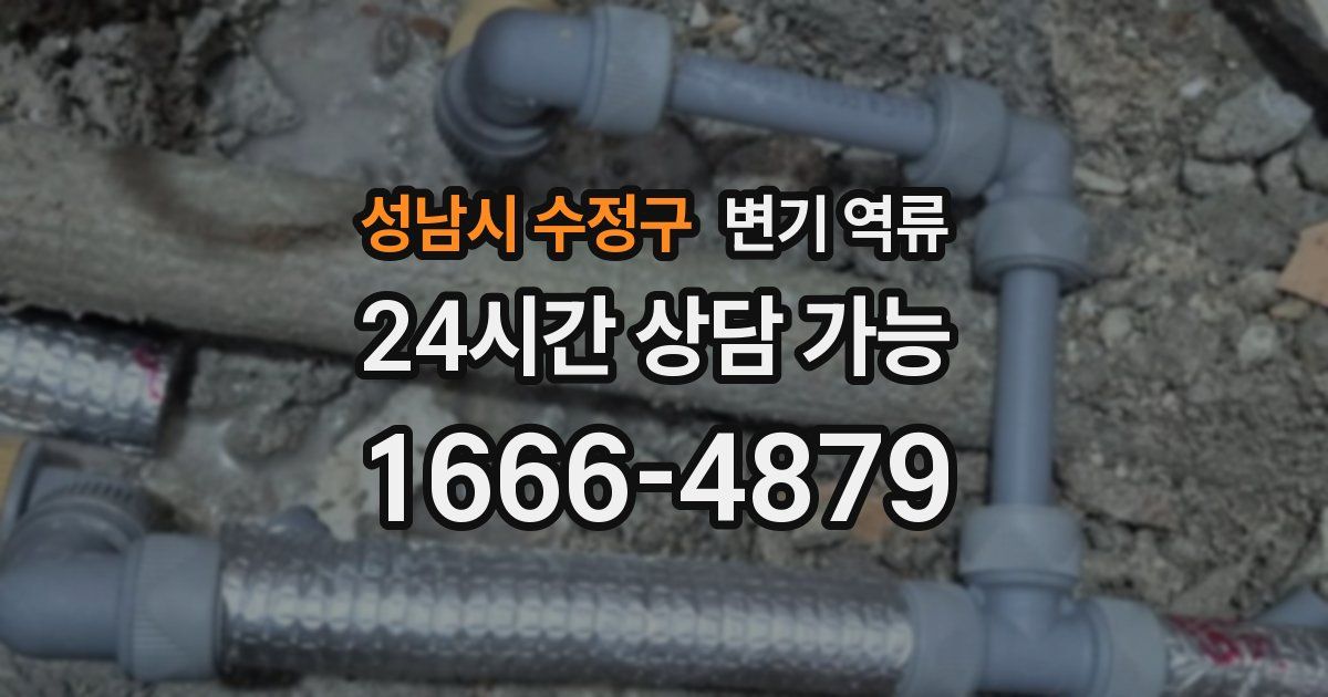 성남시 수정구 변기 역류