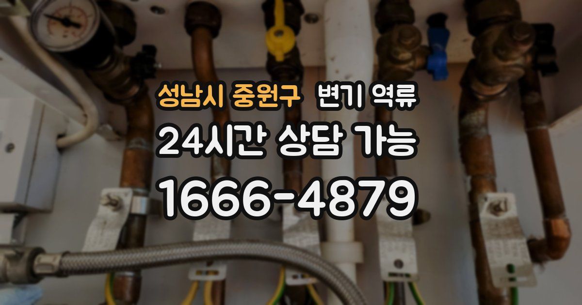 성남시 중원구 변기 역류