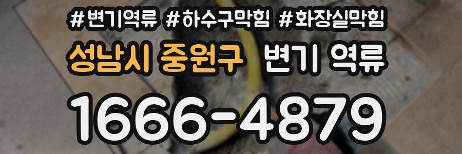 성남시 중원구 변기 역류