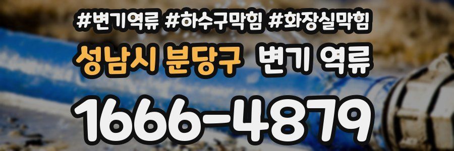 성남시 분당구 변기 역류