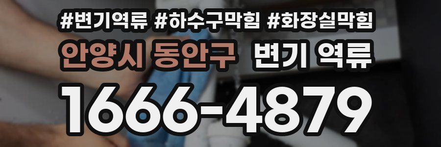 안양시 동안구 변기 역류