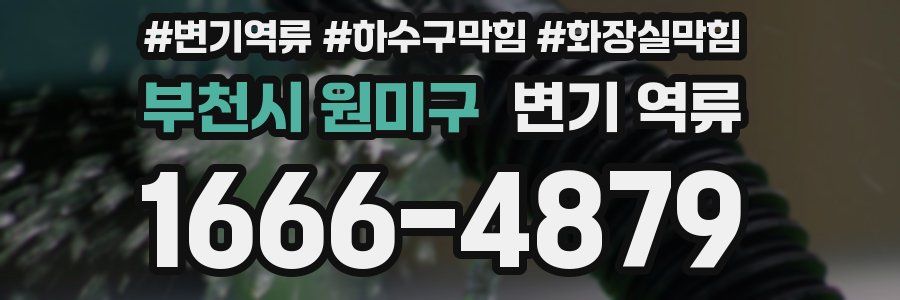 부천시 원미구 변기 역류