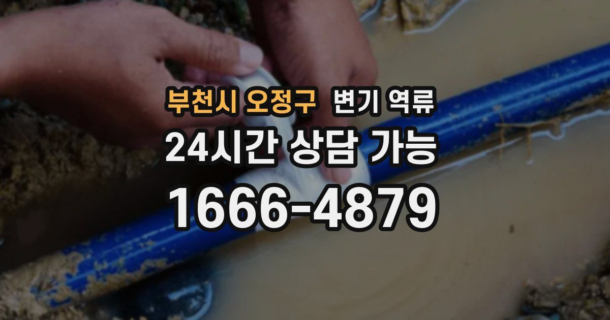 부천시 오정구 변기 역류
