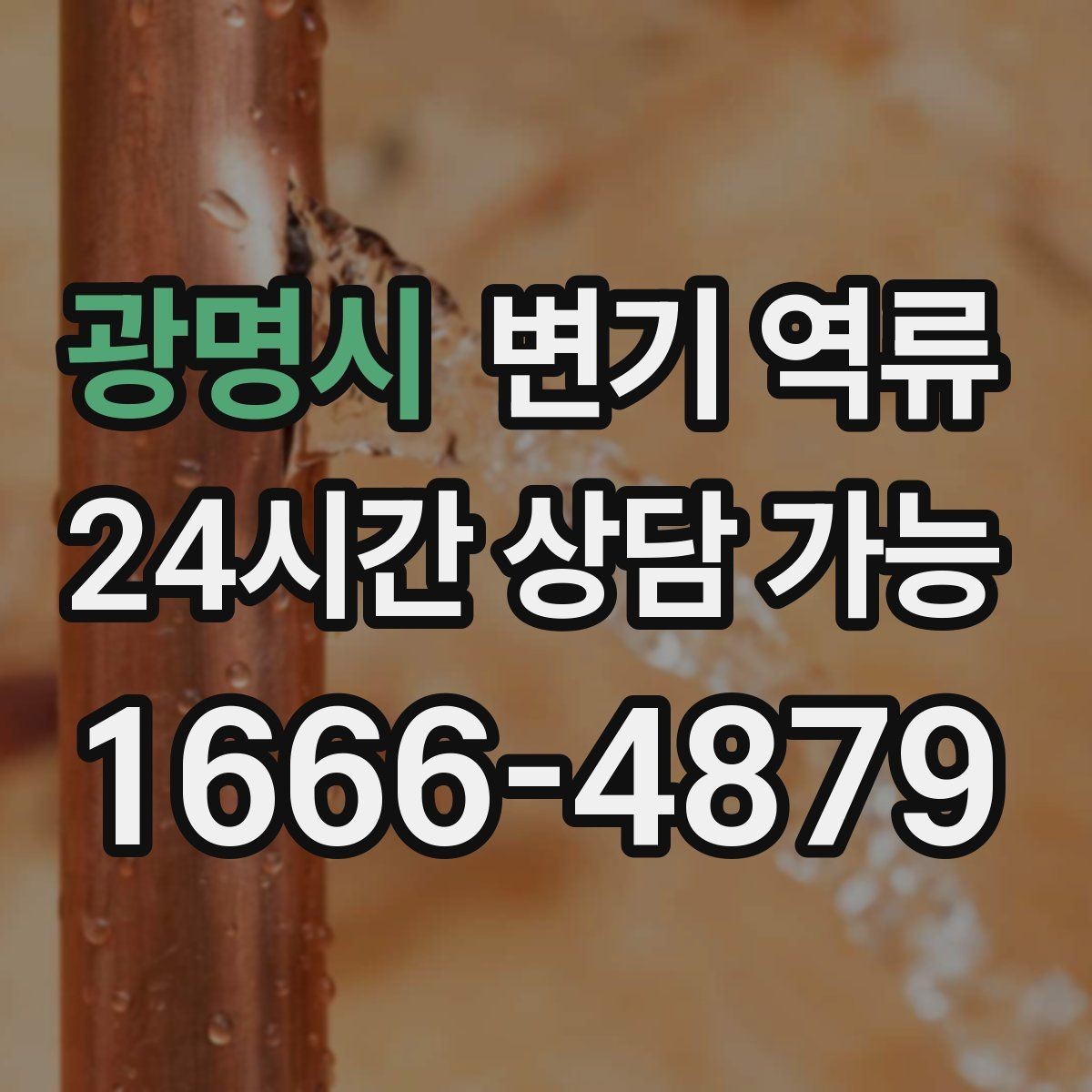 광명시 변기 역류 손대기 전에 안전을 먼저 챙겨야 하는 이유