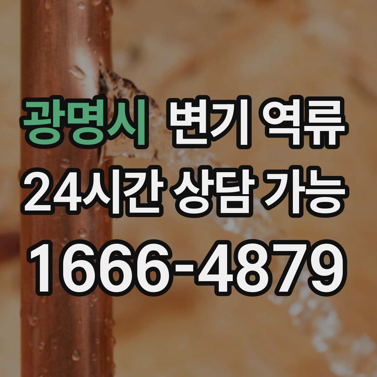 광명시 변기 역류