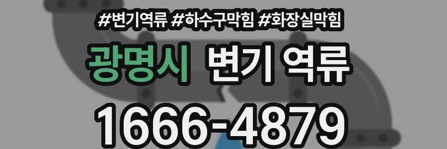 광명시 변기 역류