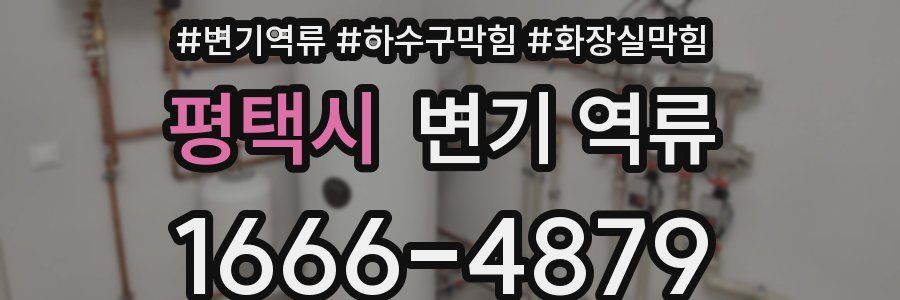 평택시 변기 역류