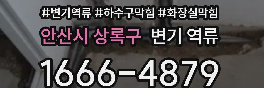 안산시 상록구 변기 역류