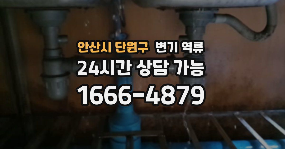 안산시 단원구 변기 역류