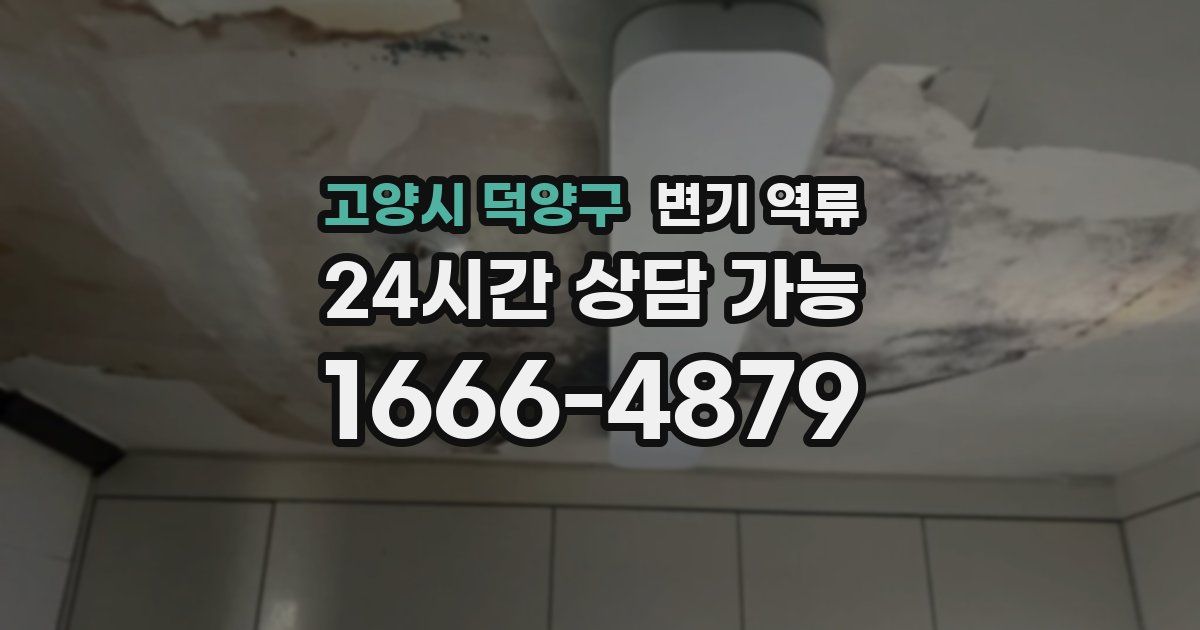 고양시 덕양구 변기 역류