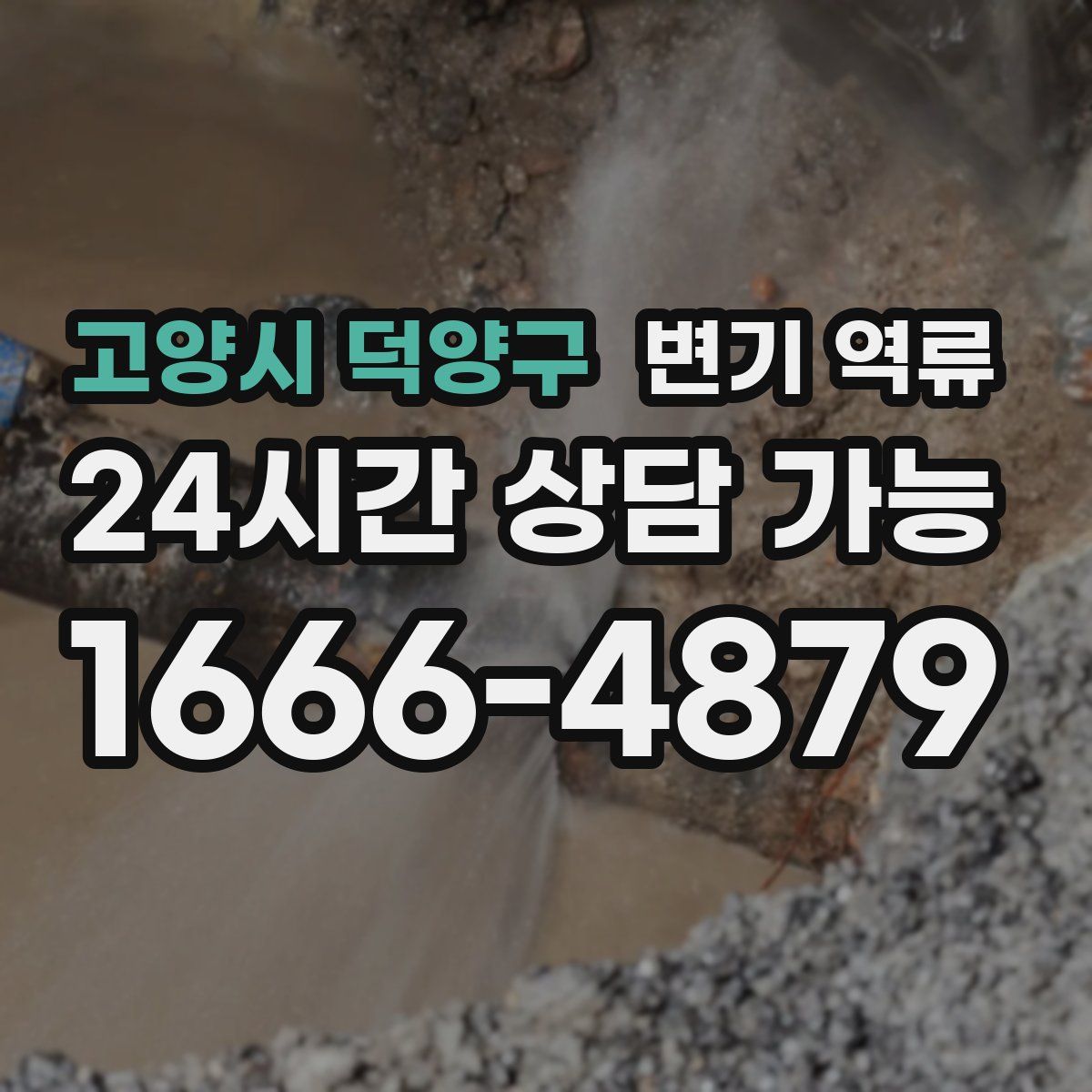 고양시 덕양구 변기 역류