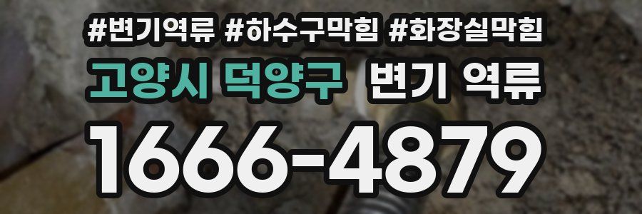 고양시 덕양구 변기 역류