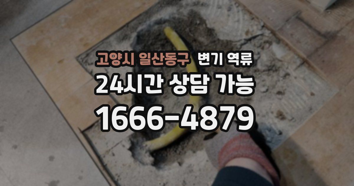 고양시 일산동구 변기 역류