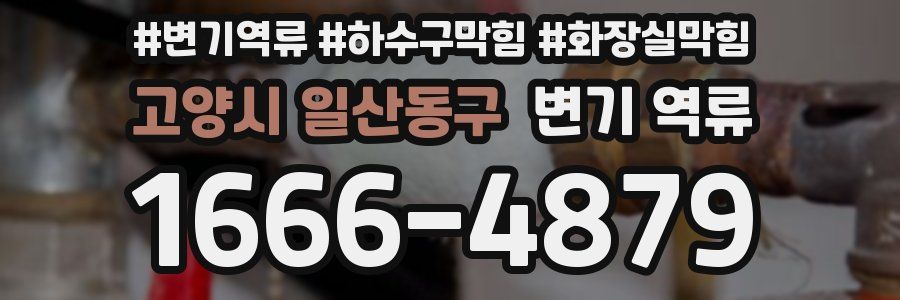 고양시 일산동구 변기 역류