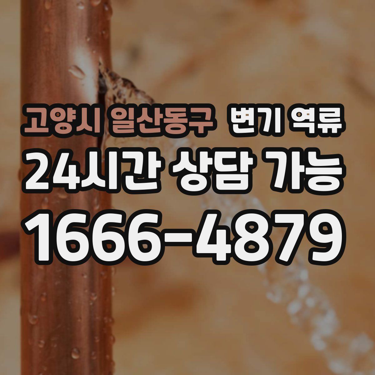 고양시 일산동구 변기 역류