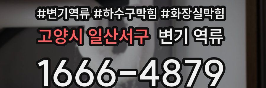 고양시 일산서구 변기 역류