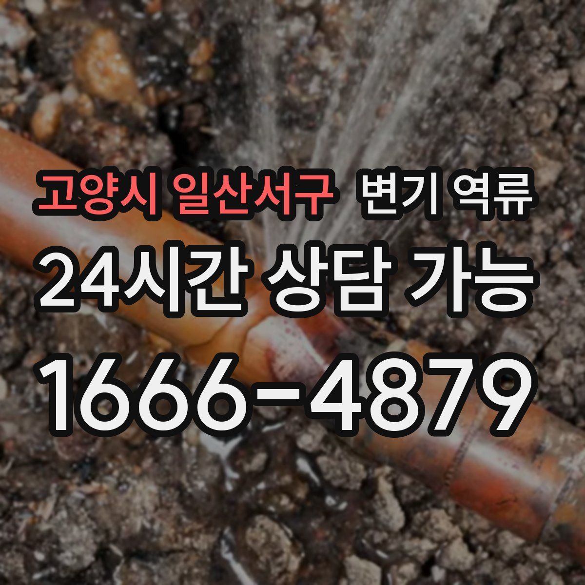 고양시 일산서구 변기 역류