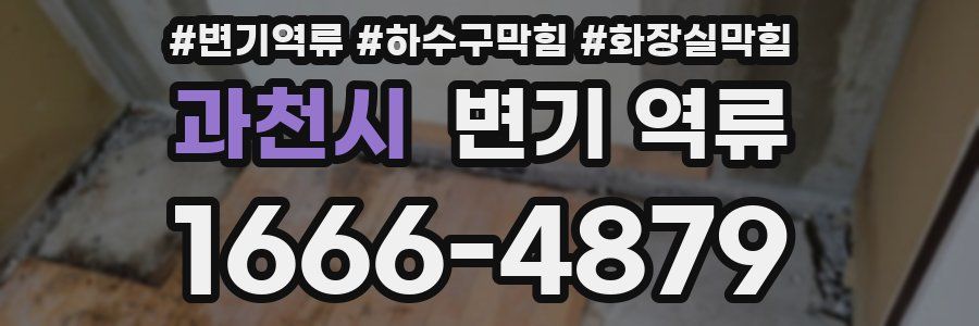 과천시 변기 역류