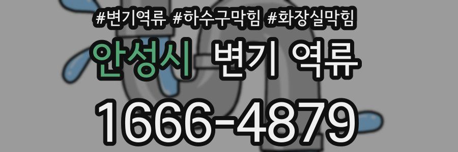 안성시 변기 역류