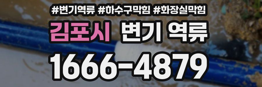 김포시 변기 역류